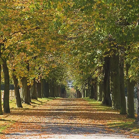 Hotel Baynunah Drachenfels Königswinter