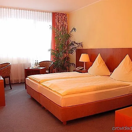 Baynunah Drachenfels Königswinter